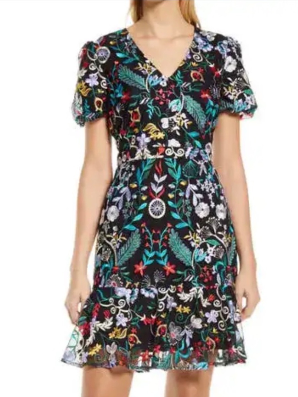 Sam Edelman Embroidered Puff Sleeve A-Line Mesh Dress - Size 6